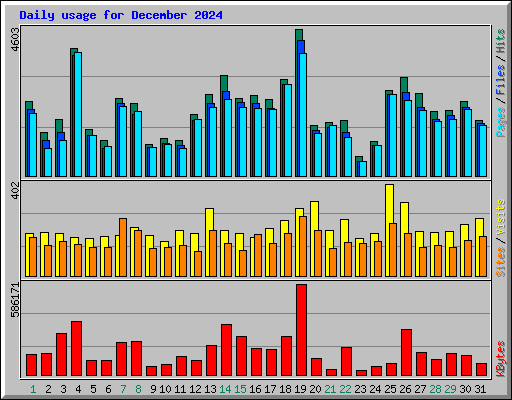 Daily usage for December 2024