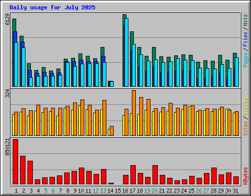 Daily usage for July 2025