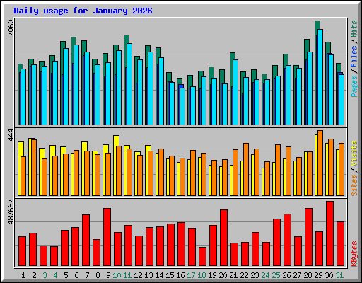 Daily usage for January 2026