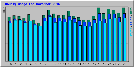 Hourly usage for November 2016
