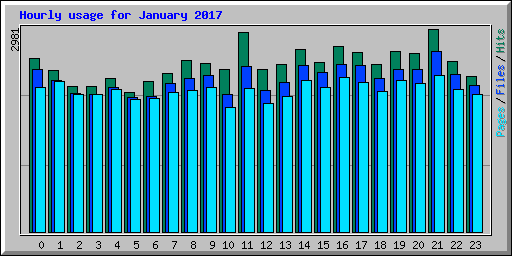 Hourly usage for January 2017