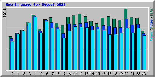 Hourly usage for August 2023