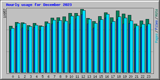 Hourly usage for December 2023