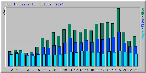 Hourly usage for October 2024