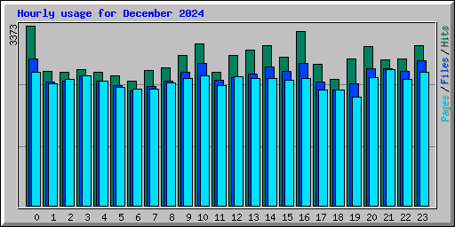 Hourly usage for December 2024