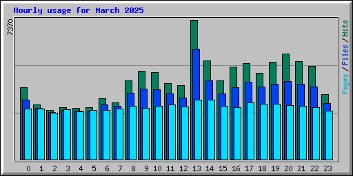 Hourly usage for March 2025
