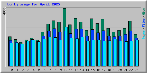 Hourly usage for April 2025