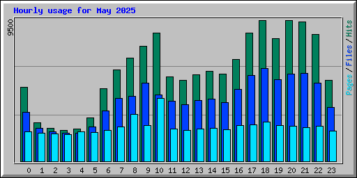 Hourly usage for May 2025