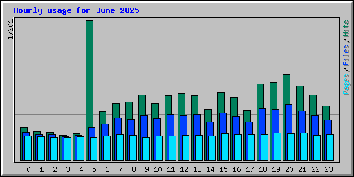 Hourly usage for June 2025