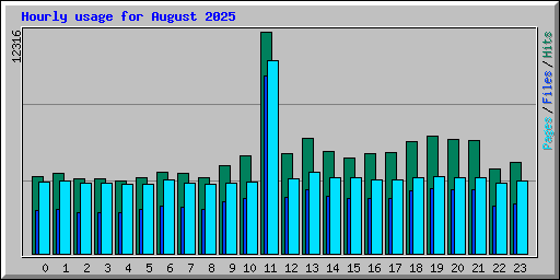 Hourly usage for August 2025