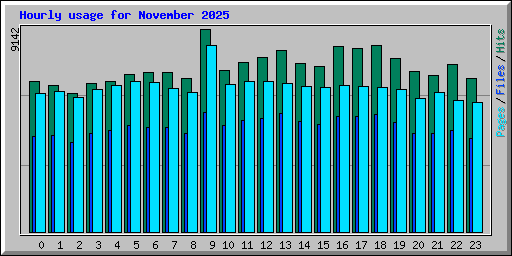 Hourly usage for November 2025