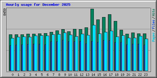 Hourly usage for December 2025