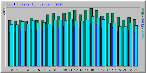 Hourly usage for January 2026