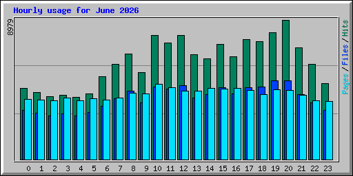 Hourly usage for June 2026