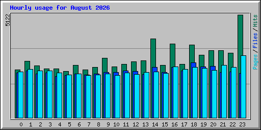 Hourly usage for August 2026